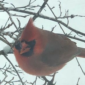 Meet your Posher, Sue